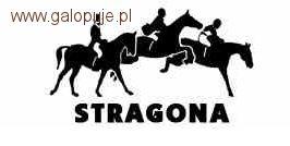 Krajowe Zawody WKKW  CNC1*, P, L, LL  - LKS Stragona Strzegom 2011