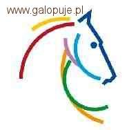 Kwalifikacje do Igrzysk Olimpijskich Londyn 2012 - triumf Ukrainy, Polska trzecia