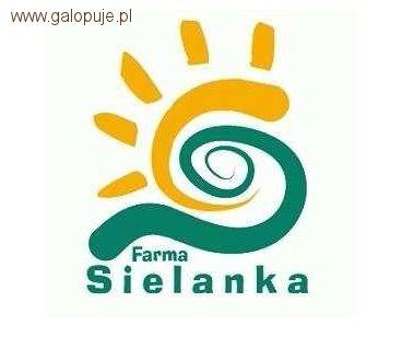 Regionalne zawody w skokach przez przeszkody - Farma Sielanka