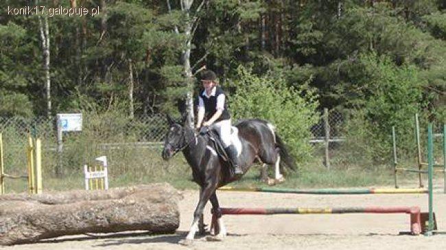  ME Pony Jaszkowo !!!