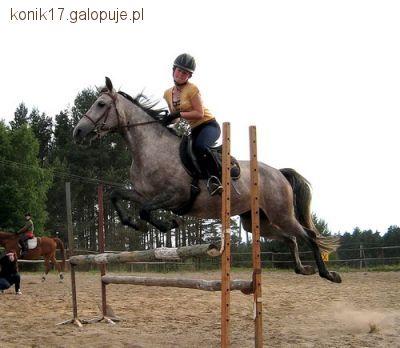 Regionalne zawody w Swoszowicach !!!