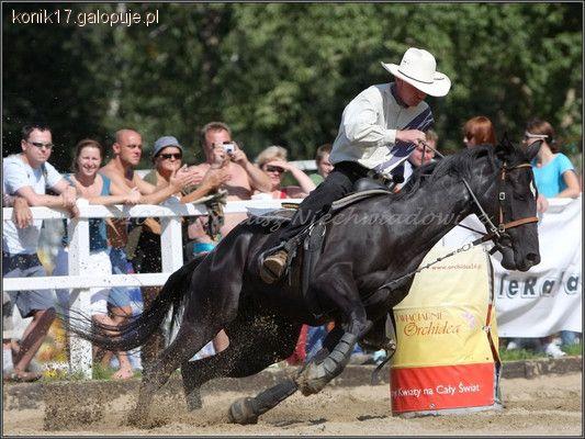 Zawody MEC 2011 koło Karpacza 