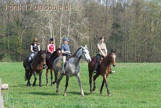 AQHA TRAIL RIDE SPRING 2011 