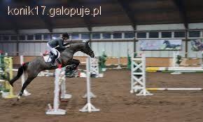 Zawody w skokach w Hermanowie 