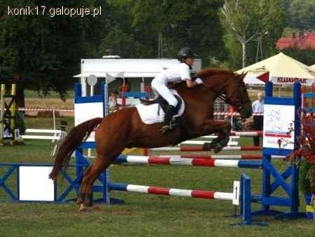 Regionalne zawody w skokach w Dolsku 