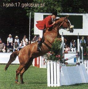 Zawody w skokach w Korpysach 