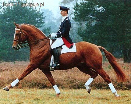 Zawody Regionalne – Mazovia Dressage Cup 2011