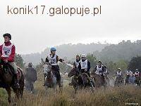 Zawody - Rajdy konne w Nowej Wsi !!!