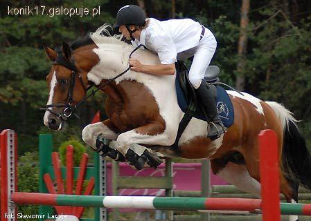 Zawody w Warce 