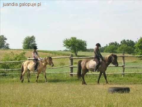 OBÓZ JEŹDZIECKI OPOLE 2011