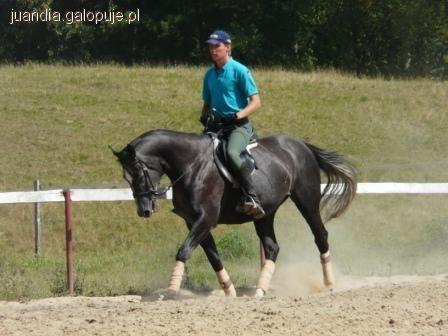 OBÓZ JEŹDZIECKI TUCZNO 2011