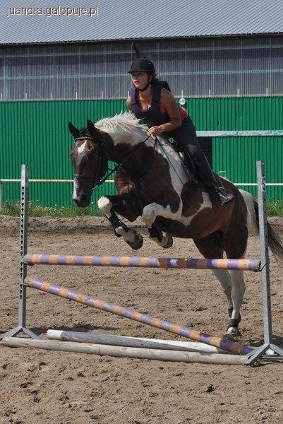 OBÓZ JEŹDZIECKI WTÓREK 2011