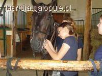OBÓZ JEŹDZIECKI TARNAWA DOLNA 2011