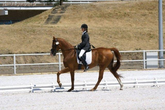 OBÓZ JEŹDZIECKI TRUSKOLASY 2011