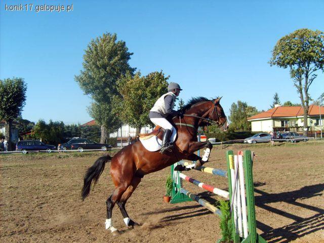 Zawody w Kielcach - KJ Kielce 2011