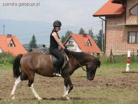 Zbrosławice - Wyżyna Śląska - obóz jeździecki 10-13, 14-18 lat