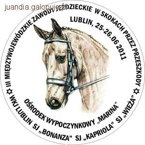III Międzywojewódzkie Zawody Jeździeckie w skokach przez przeszkody Lublin