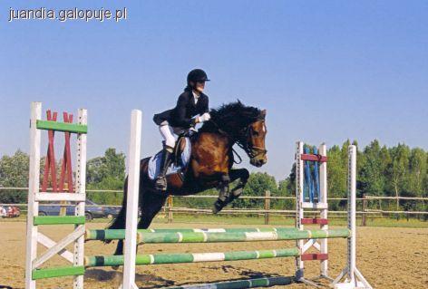 VI Regionalne Zawody w Skokach Grene Cup 2011
