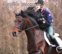 Propozycje Eliminacji do OOM w WKKW oraz CNC 2-3.07.2011
