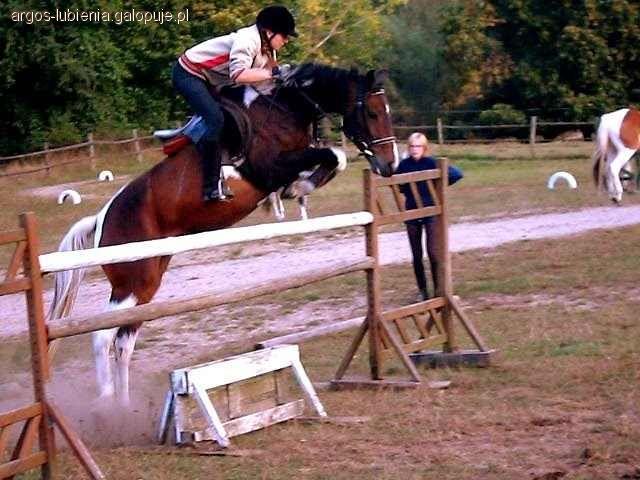 Co nowego w Lubieni?