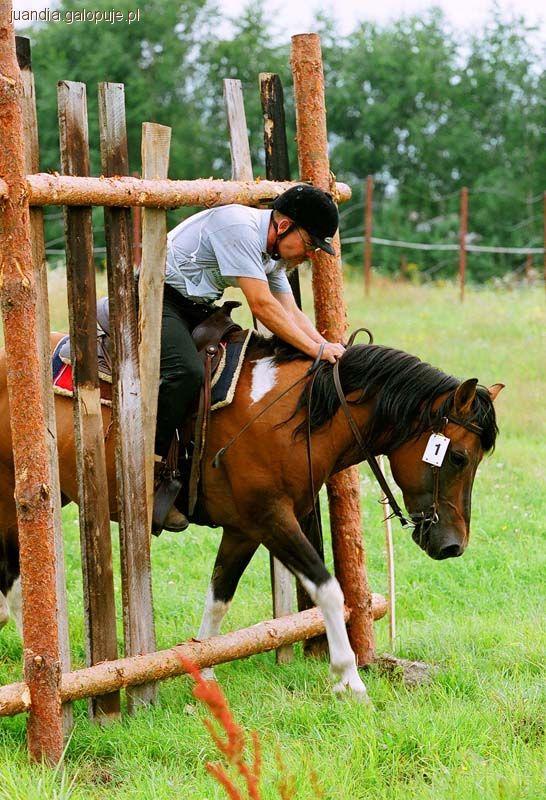 25-26.06.2011: Z Hucułem na Wakacje - VI Świętokrzyska Ścieżka Huculska.