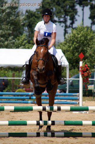 III Zawody Jeździeckie Młyńska Struga „Consus Cup” w skokach przez przeszkody