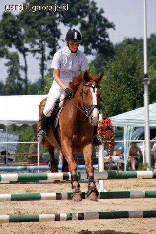 Towarzyskie Zawody Konne - Baranów