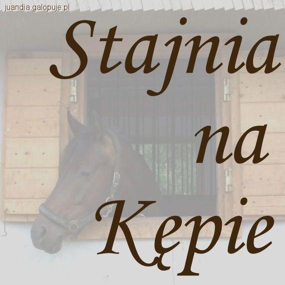 Stajnia na Kępie - obóz jeździecki 2011