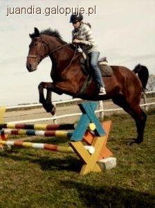 Obóz jeździecki w Popowie 2011