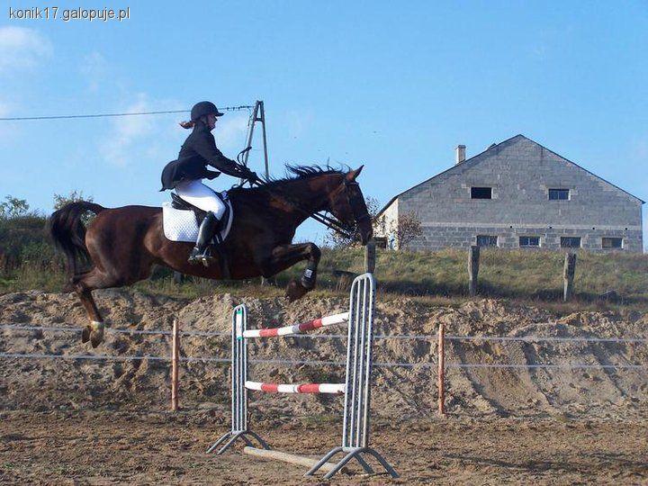 Czempionat Młodzież - Galiny 18 czerwiec 2011r.