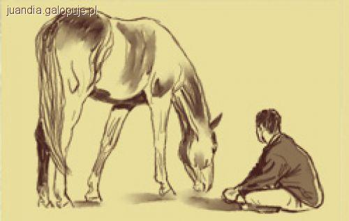 Silversand Horsemanship Szkolenie (warsztaty) z Justyną Mitką