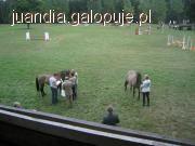 11 i 12 września - Piknik z Konikiem Polskim w Jaśle