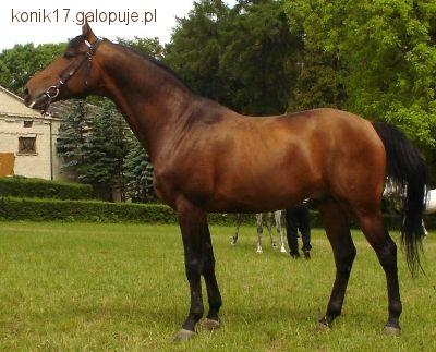 CSI** Poznań  II Memoriał Macieja Frankiewicza
