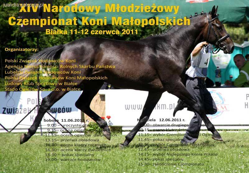 XIV Narodowy Młodzieżowy Czempionat Koni Małopolskich