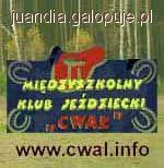 Propozycje Zawodów Regionalnych Międzystrefowych w skokach przez przeszkody - Radom