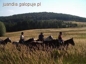 KRAJOWE ZAWODY W SPORTOWYCH  RAJDACH  KONNYCH POWITANIE LATA 2011