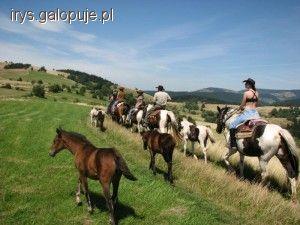 Obozy jeździeckie - ile są warte?