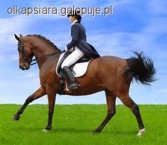 mowa ciała cz.7 UDERZANIE OGONEM 