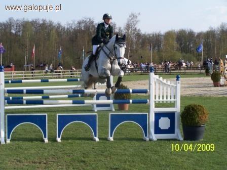 Czołówka polskich skoczków na CSIO Sopot 2011