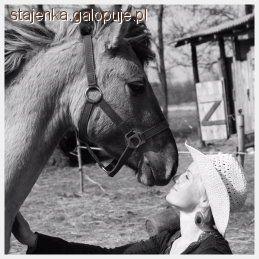 Nowy konik w Makowej stajence