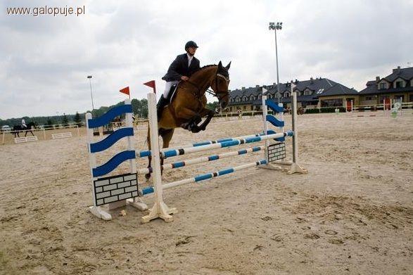 ZR-B Farma Sielanka Warka 2011