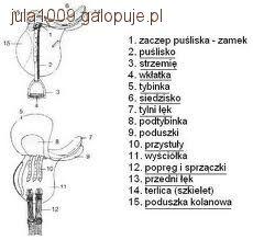 Siodło