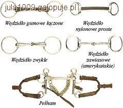 Rodzaje wędzideł
