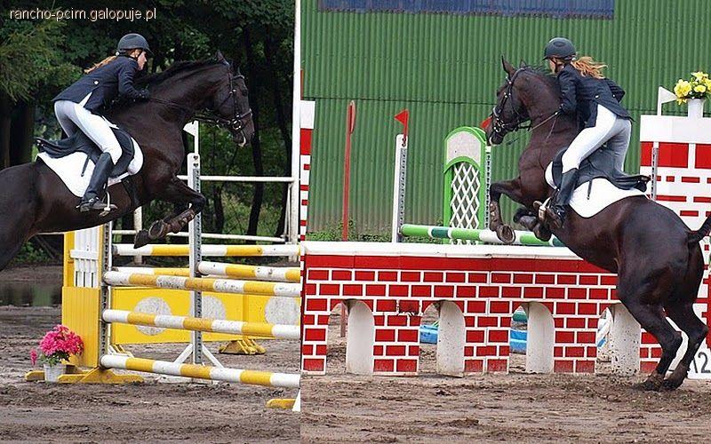 Obozy jeździeckie, sportowe i rekreacyjne Rancho Pcim - super oferta!