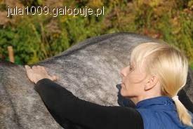 Jak zrelaksować konia czyli masaż cz.2
