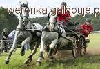 Powożenie