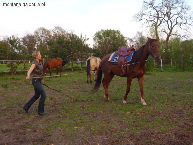 Majowy trening