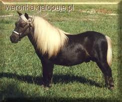 Falabella