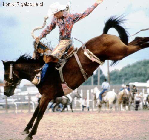 Konkurencja kowbojska-Roughstock