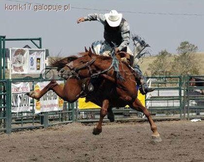 Profesjonalne konkurencje kowbojskie-rodeo